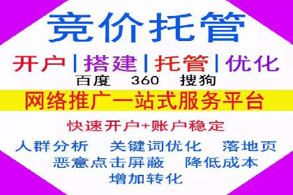 某电商平台的SEM代运营策略及效果评估